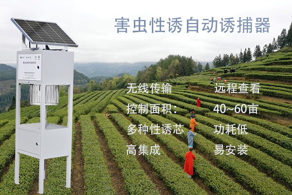 害蟲性誘智能測(cè)報(bào)系統(tǒng)圖片1 害蟲性誘智能測(cè)報(bào)系統(tǒng)圖片1