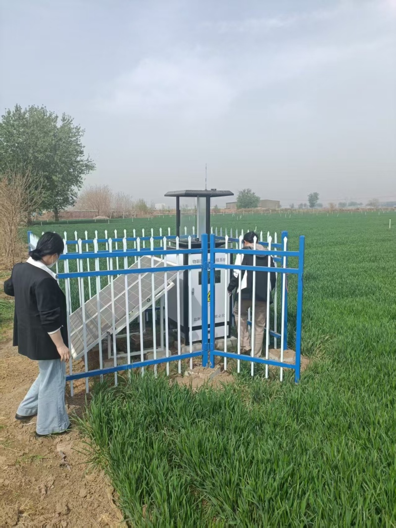 河北欒城蟲情測報燈項目圖片2