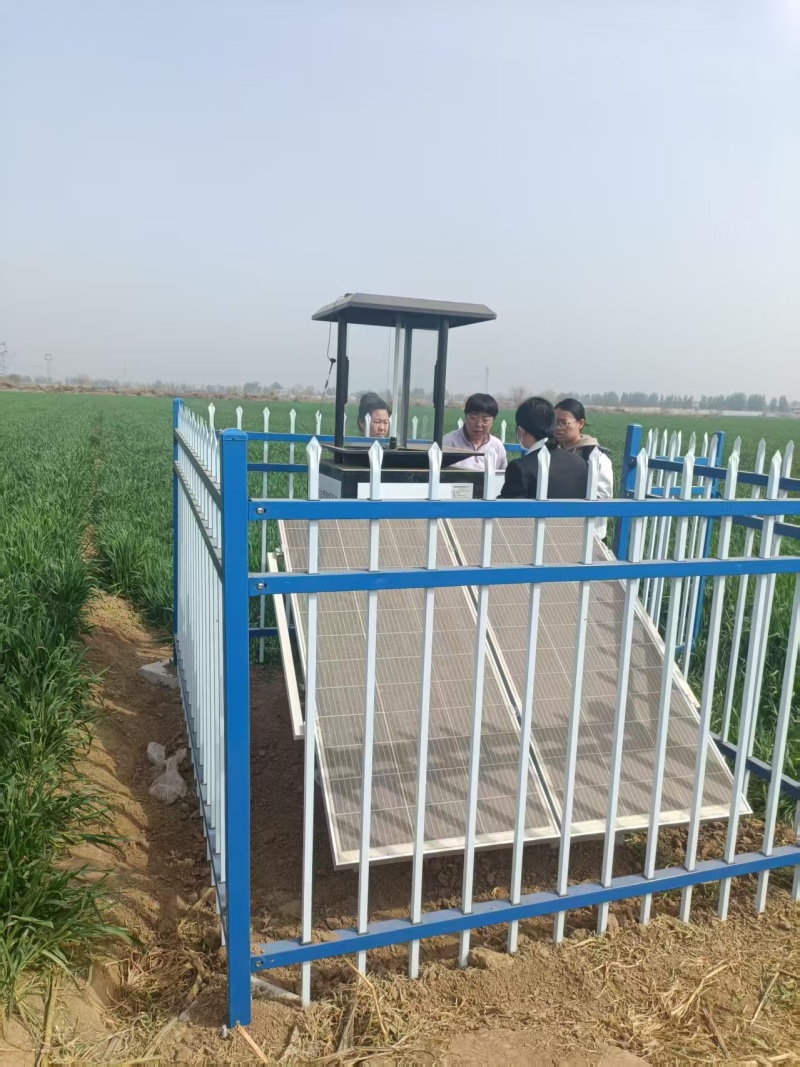 河北欒城蟲情測報燈項目圖片4