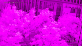 1766029354214324.png 圖片.png