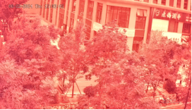 1766029359352383.png 圖片.png